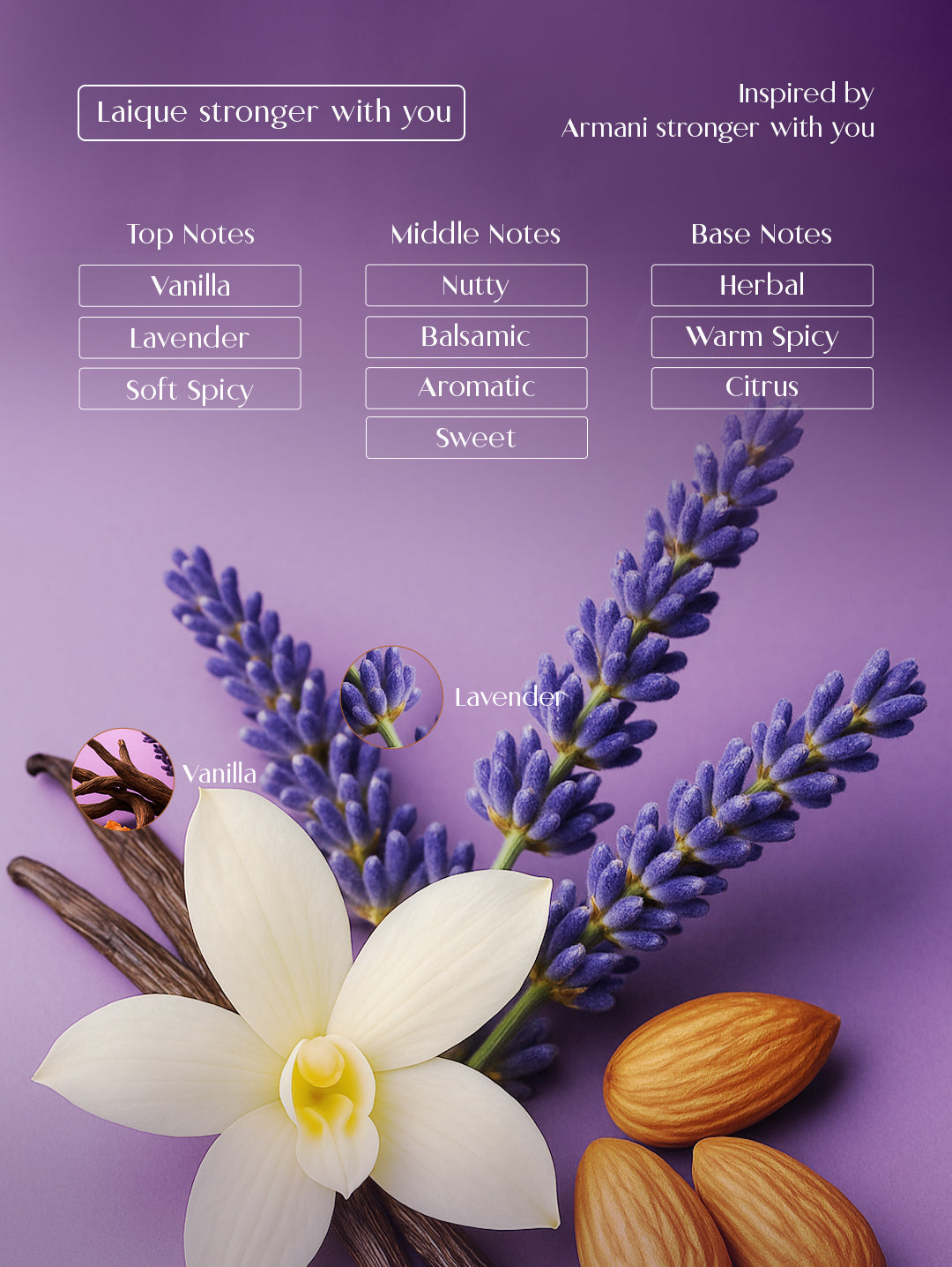 LAIQUE STRONGER WITH YOU