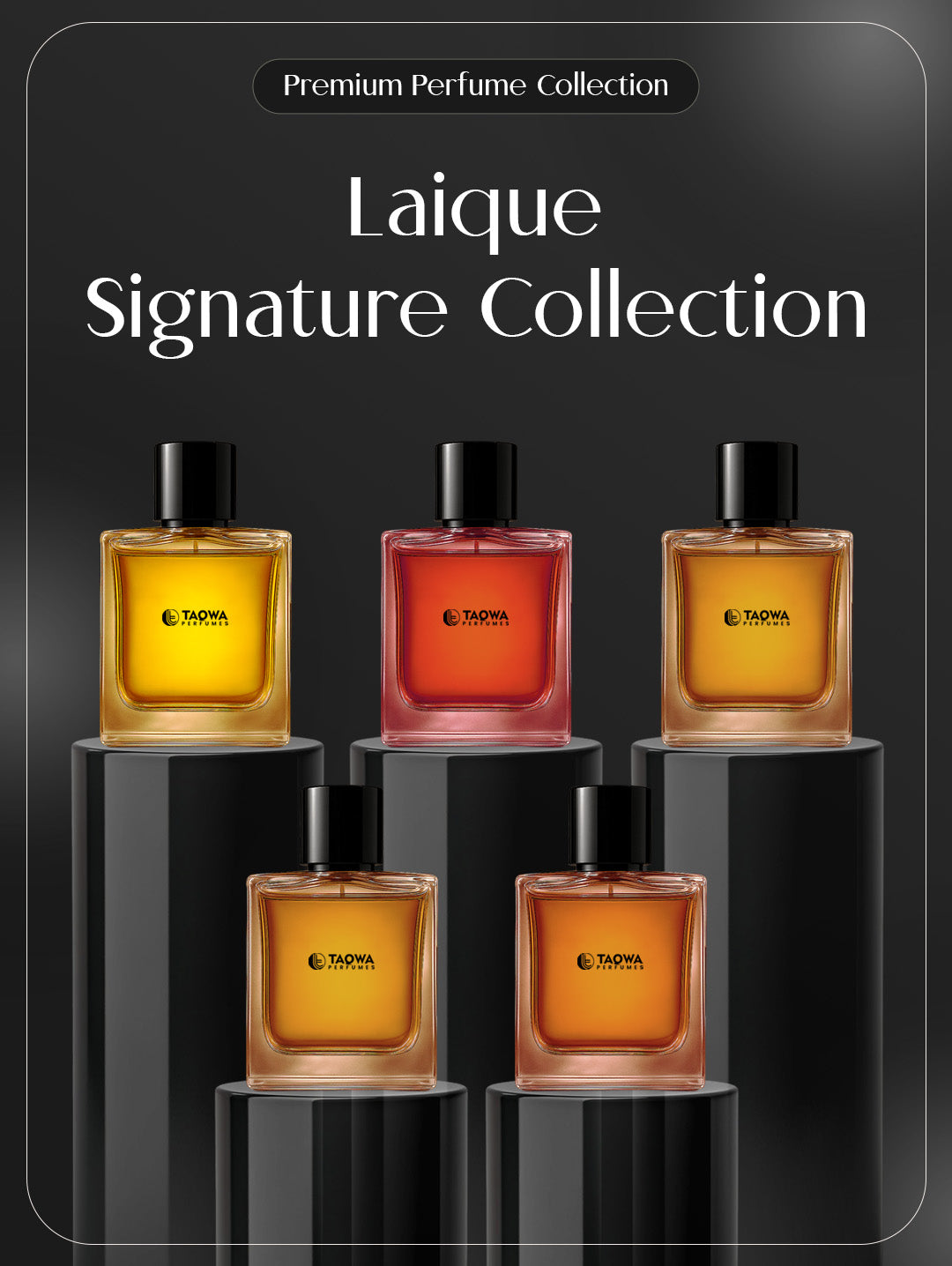SIGNATURE COLLECTION COMBO
