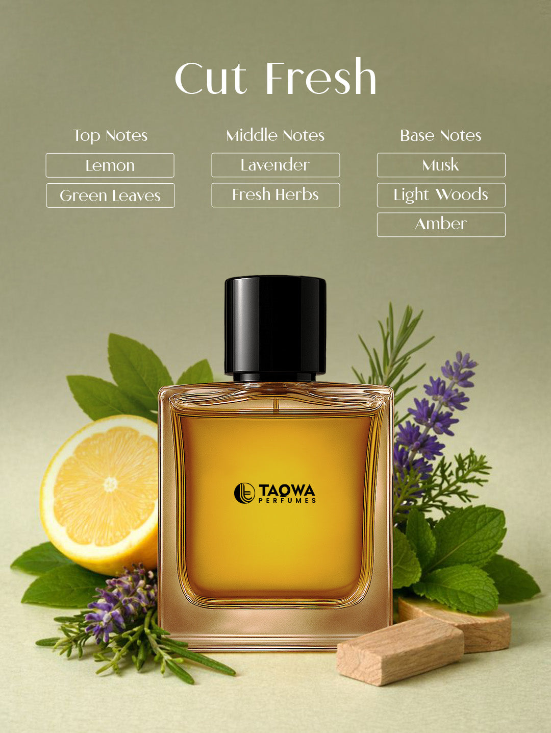 LAIQUE SIX PERFUME COMBO
