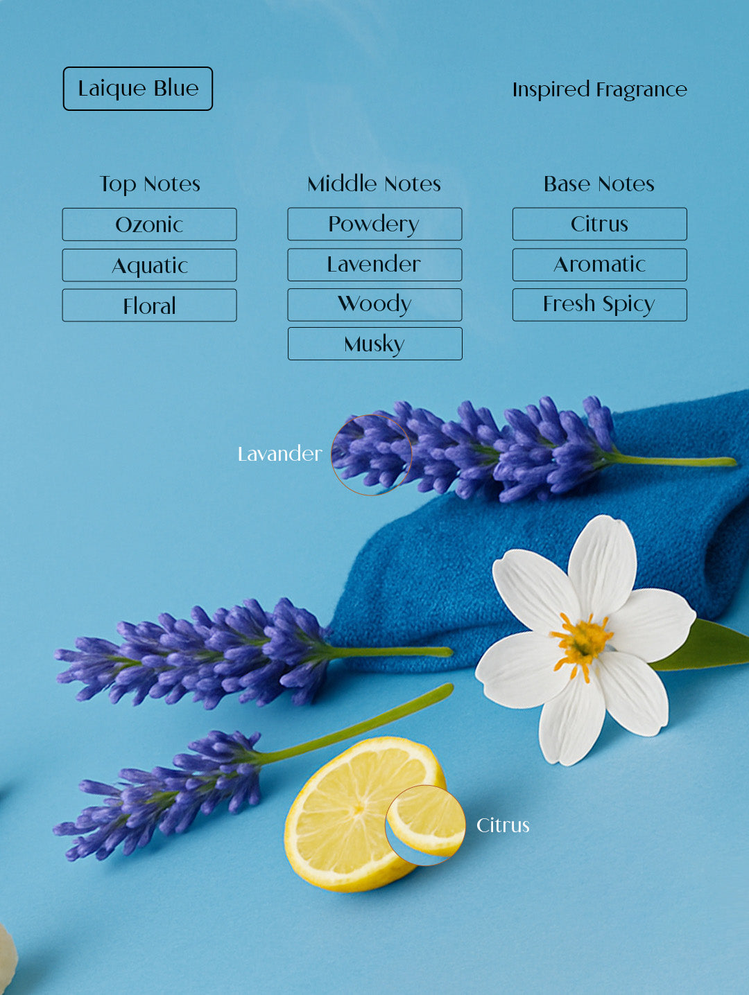LAIQUE BLU