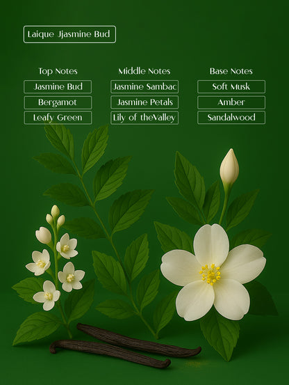 LAIQUE JASMINE BUD