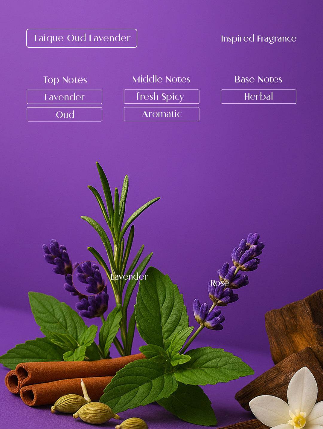 LAIQUE OUD LAVENDER